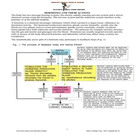 Hormones and Their Actions_Illustrated Notes