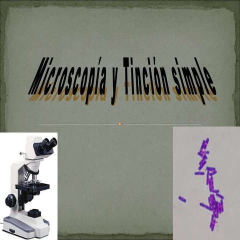 microscopia