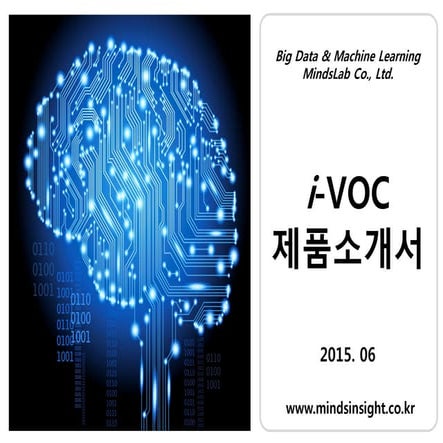 i-VOC (Voice of the Customer Big Data Analytics Solution) 고객의소리 분석