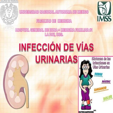 Infeccion Vias Urinarias | PPT