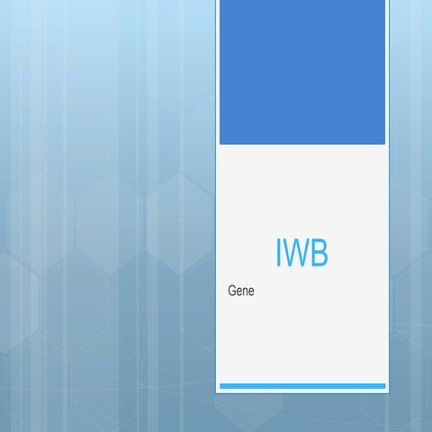 IWB電子白板情境分析