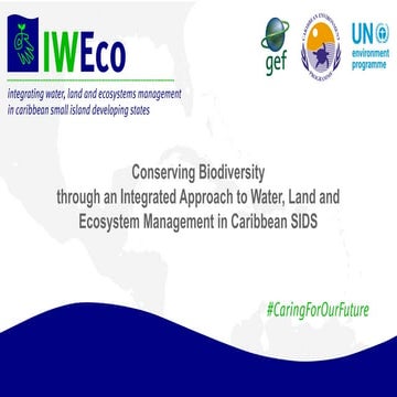 Conserving Biodiversity through an IWEco Approach in Caribbean SIDS