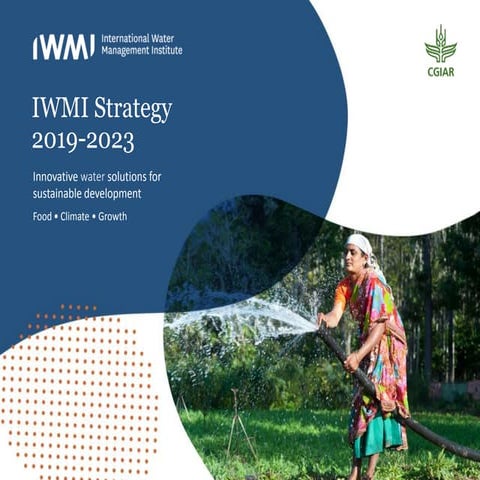 IWMI Strategy 2019-2023