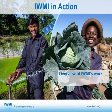 IWMI in Action