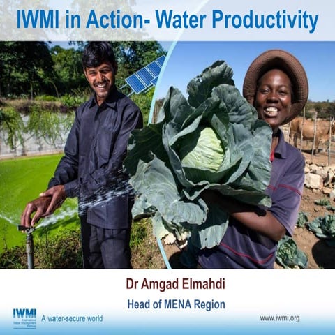 IWMI in Action- Water Productivity