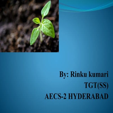 IX_BIOLOGY_6_1,PPT.pdfcvhjhhhhhhhhhhhggg