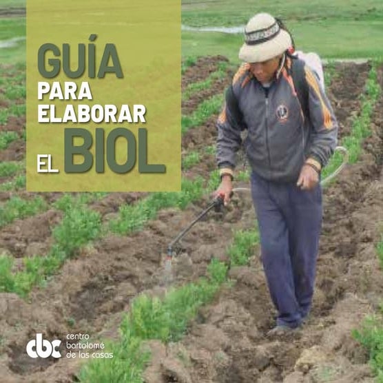 Pproducción y uso de biol y su aplicación como fertilizante foliar ...