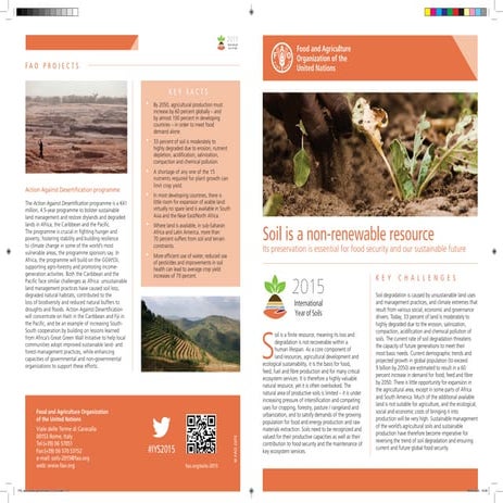 Iys fact sheets_preservation_en_print