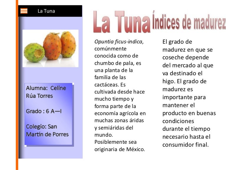 La tuna