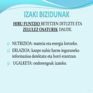 Izaki bizidunak