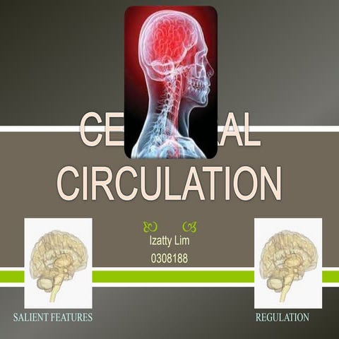 Cerebral Circulation