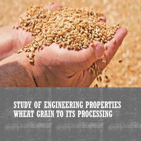Study of engineering properties wheat grain to its processing