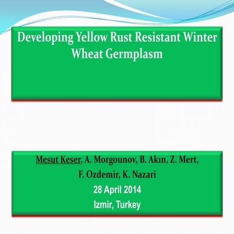Izmir 14-developing yr res  germplasm m keser