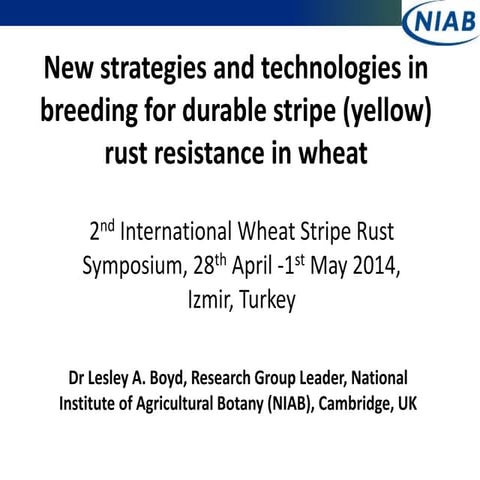 Izmir 2014 lesley boyd