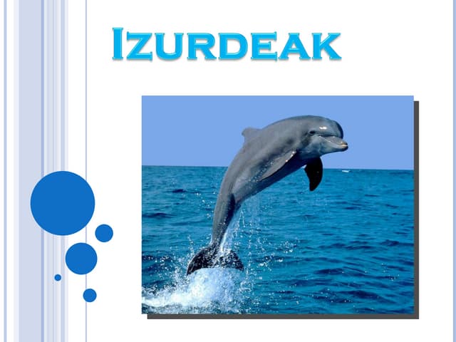 Izurdea Ppt Izurdea Ppt