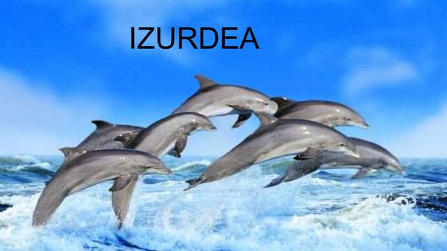 Izurdea Ppt Izurdea Ppt