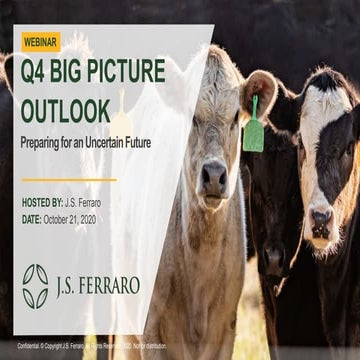 J.S. Ferraro Q4 2020 Webinar