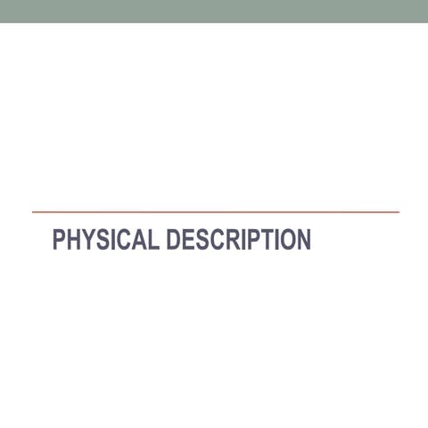 B1 physical description