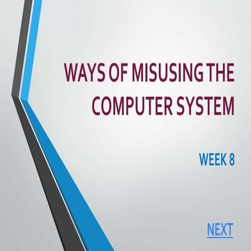 Ways of Misusing The Computer System