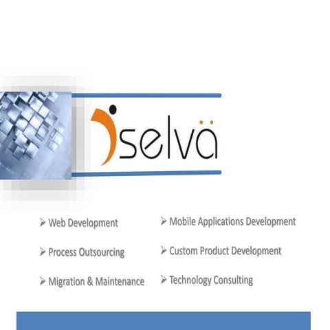 D'selva Infotech Capabilities