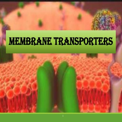 Membrane transporters