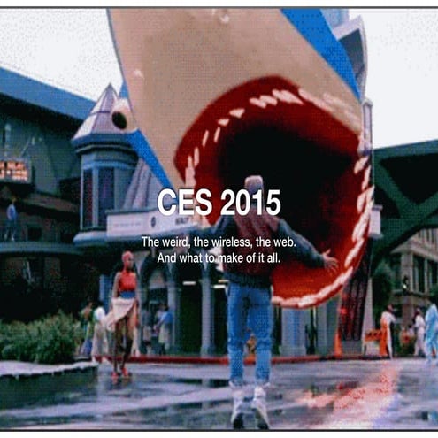 CES2015: A Brand Marketer's View 