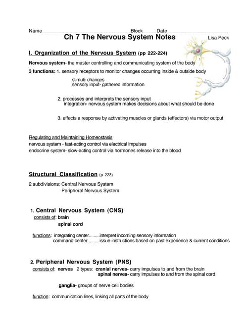 Organization of the nervous system | PPTX