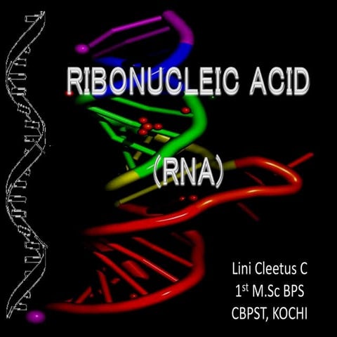 Ribonucleic acid | PPT