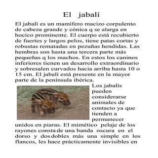 Jabali