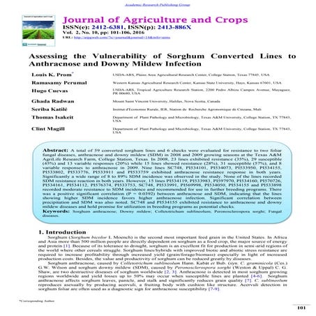 Assessing the Vulnerability of Sorghum Converted Lines to Anthracnose and Dow...