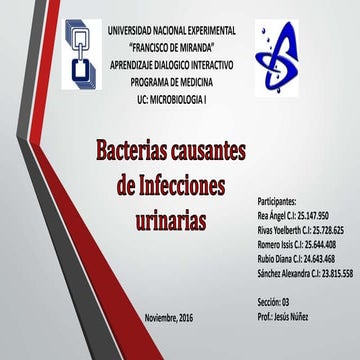 Bacterias causantes de infecciones de la vía urinaria