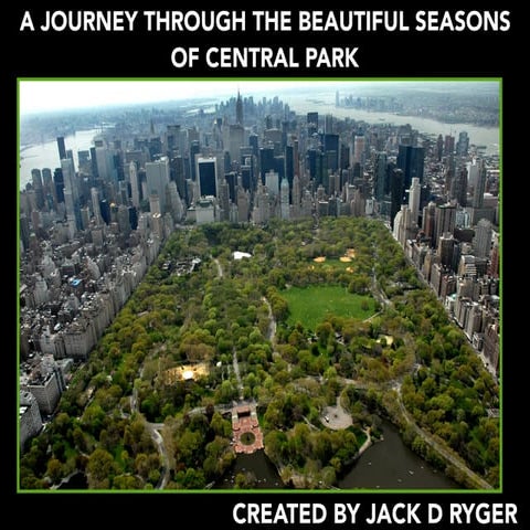 Jack D Ryger: A Journey Through The Beautiful Seasons Of Central Park