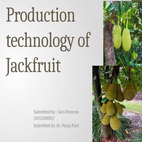 SYSTEMATIC SAMPLING OF BASIC SAMPLING TECHNIQUES .pptx
