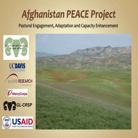 Empowering Afghan Herders to Build Peace