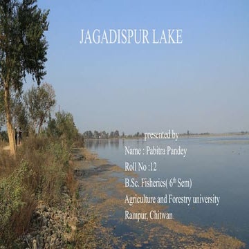 Jagdispur lake