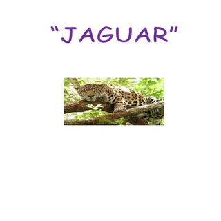 Jaguar