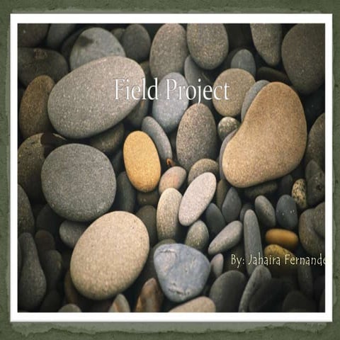 Jahaira f. field proj.