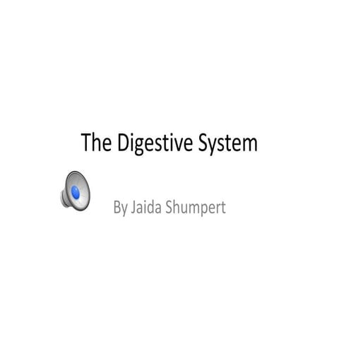 Jaidas digestive system