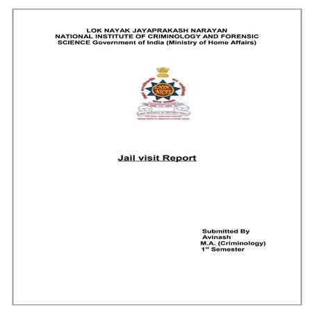 Jail Visit Report