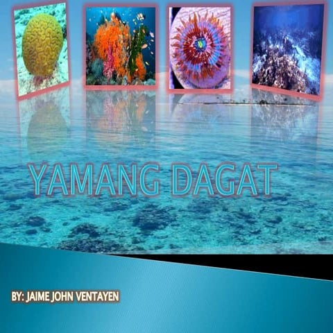 Yaman Dagat Power Point