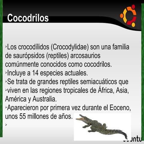 Cocodrilo Jaime y Javi