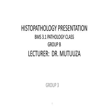 JAK-STAT signaling pathway by Group 3 CORRECTED.pptx