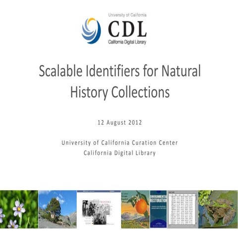 Scalable Identifiers for Natural History Collections