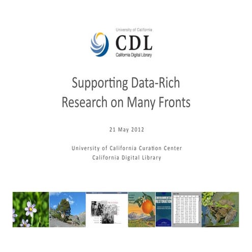 Supporting Data-Rich Research on Many Fronts