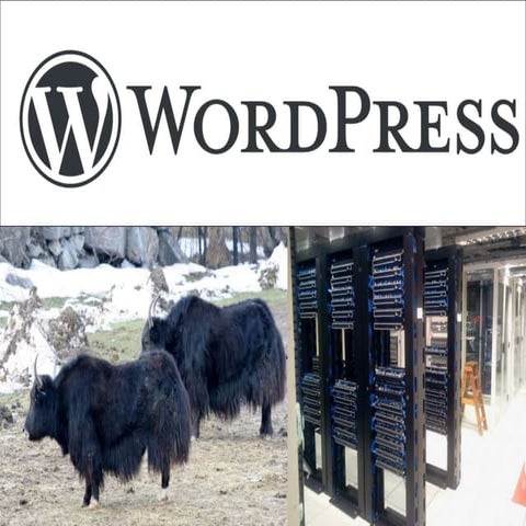 Jaki hosting pod wordpressa