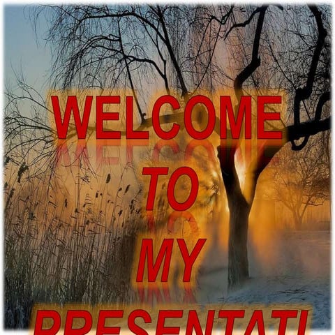 14th Internship Program Presentation(DVM)