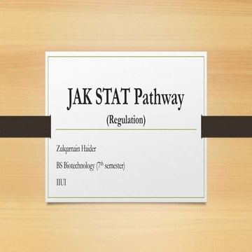 Regulation of JAK STAT Pathway 