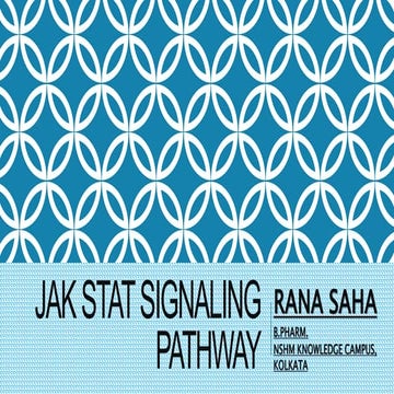 JAK STAT SIGNALING PATHWAY