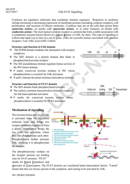Role of jak stat pathway in cancer signalling | PPT