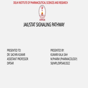 JAK STAT SIGNALING PATHWAY.